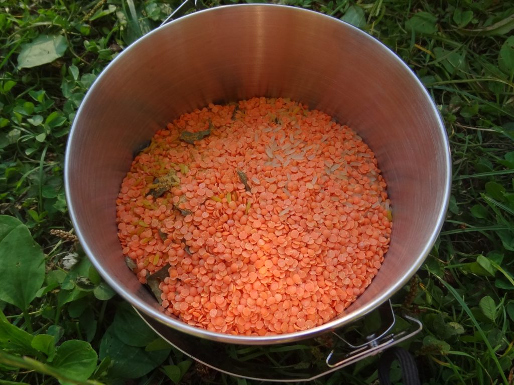 So besser nicht. Zuerst die Kokosmilch erwärmen, erst dann Reis und Linsen beigeben